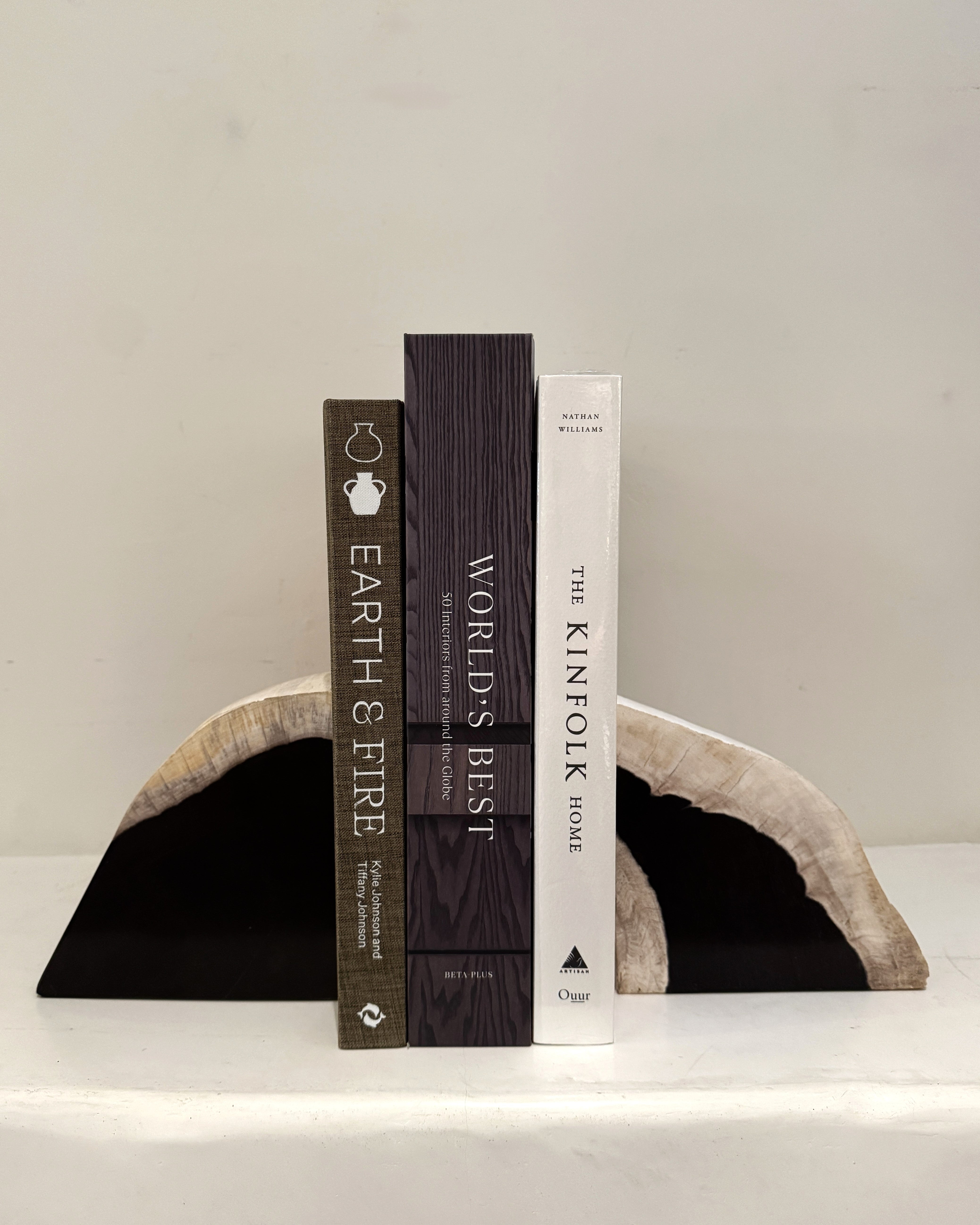 Cinagara Petrified Wood Bookends Set