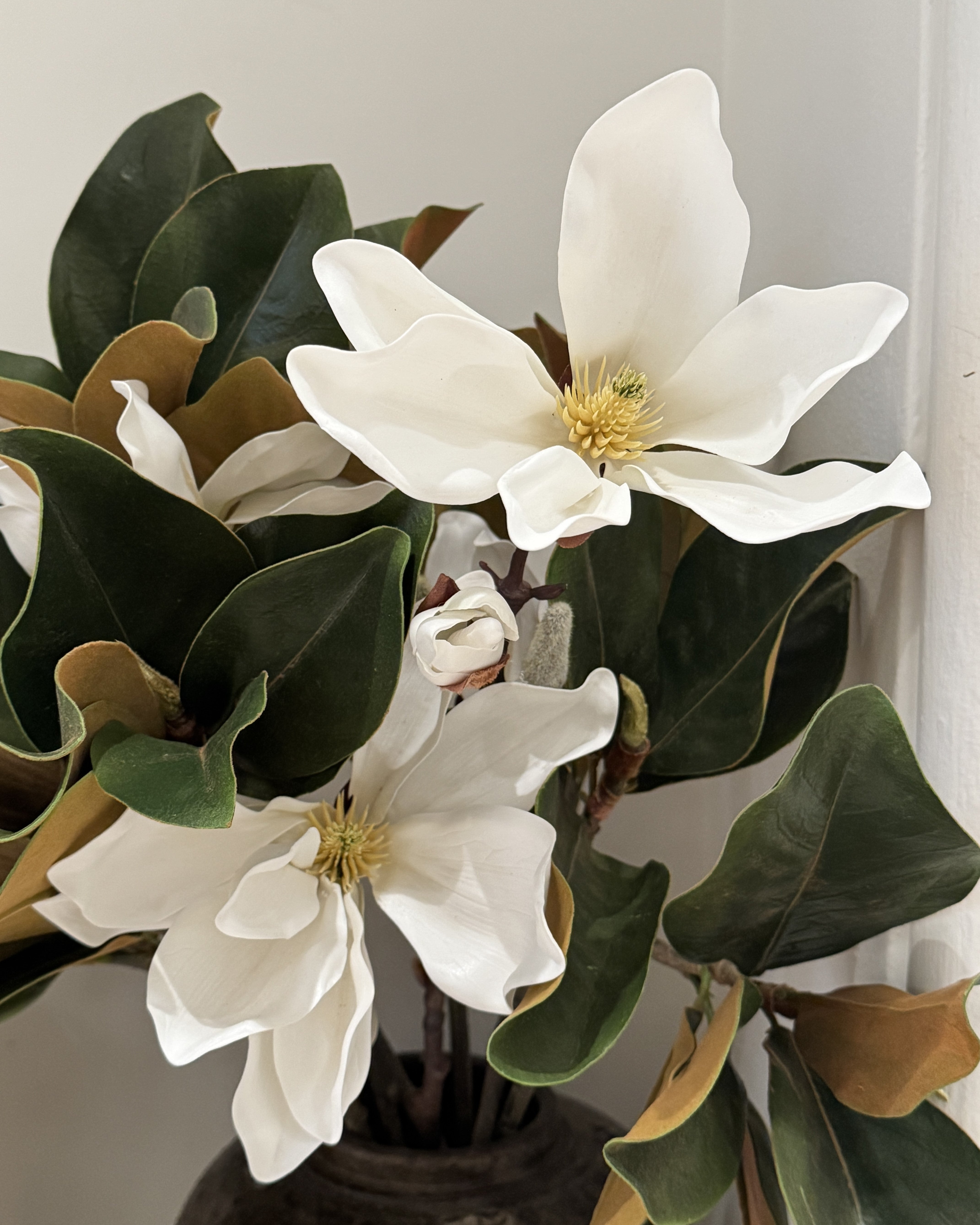 Magnolia Japanese Spray 78cm