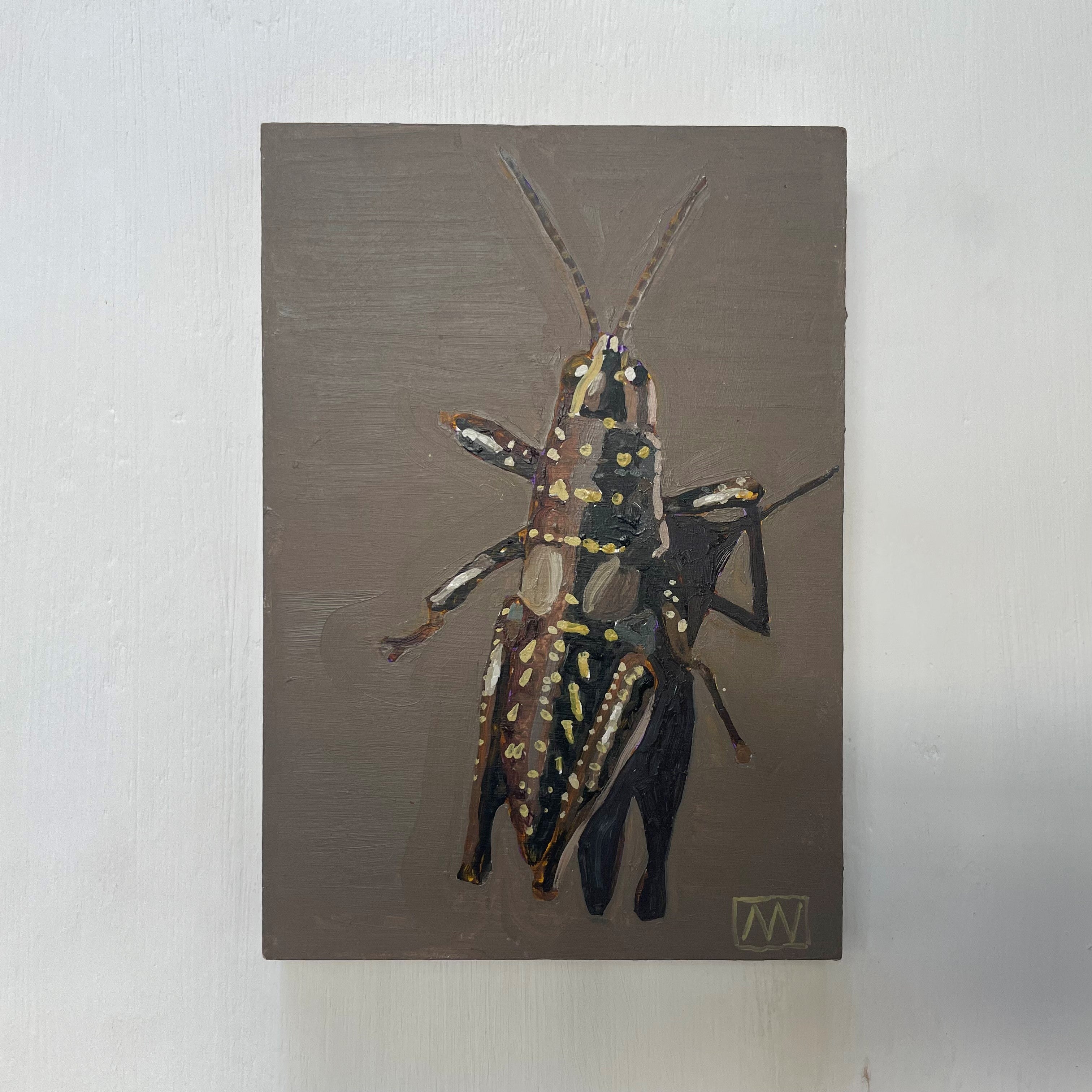 Larapinta Grasshopper by Andrea Wilson