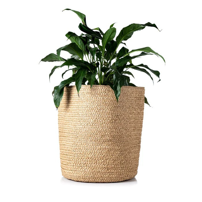 Taly Woven Planter