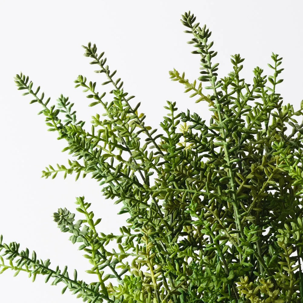Artificial Sedum plant from Floral Interiors, showcasing green, leafy succulent stems in a realistic, vibrant display.