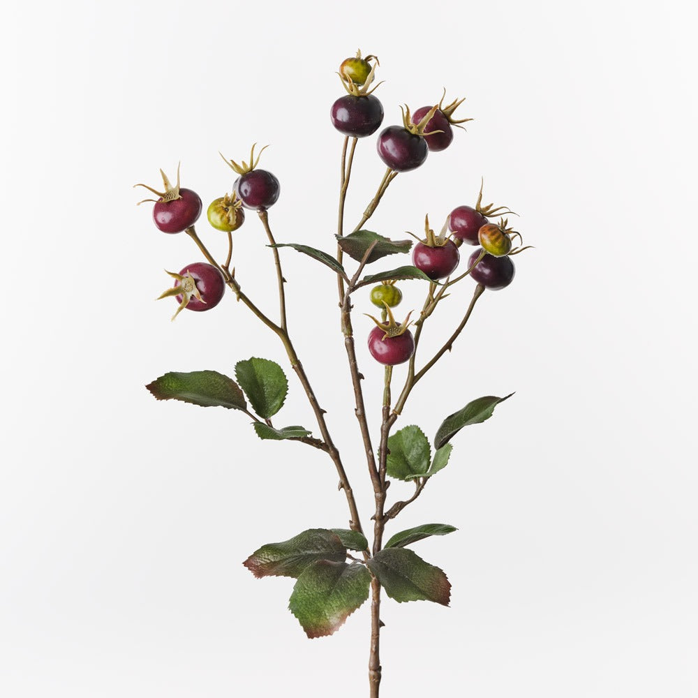 Rosehip Spray 66cm