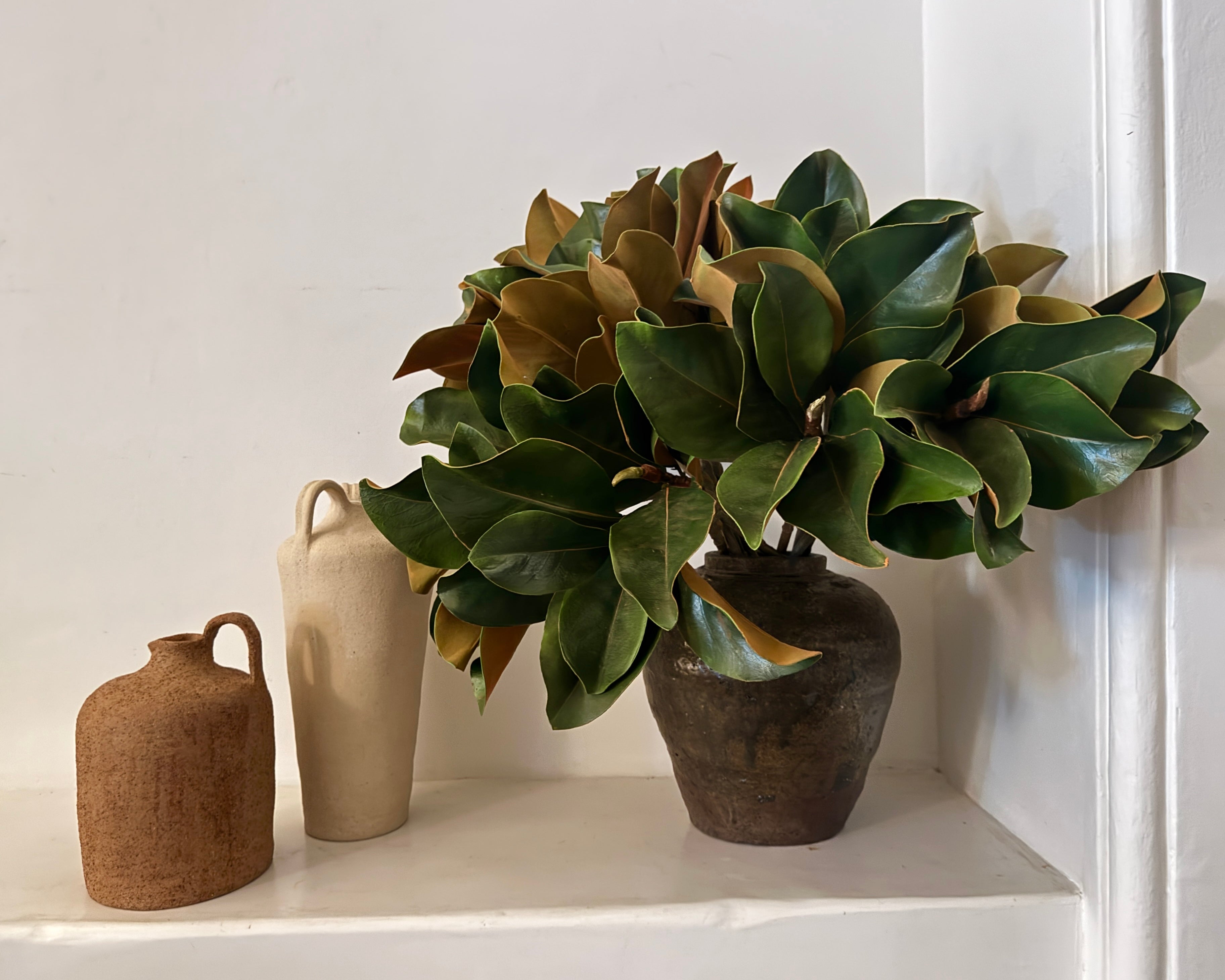 Magnolia Foliage 63cm