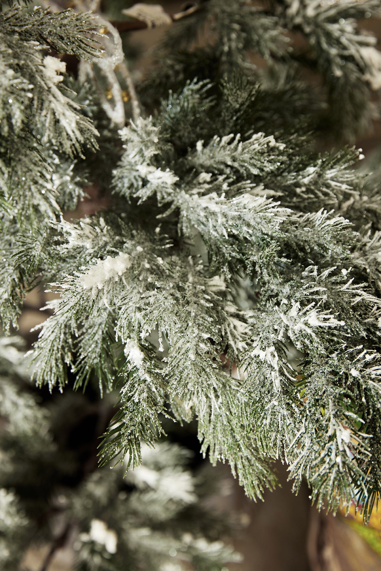 Evergreen Forest Pine Christmas Tree with Snow