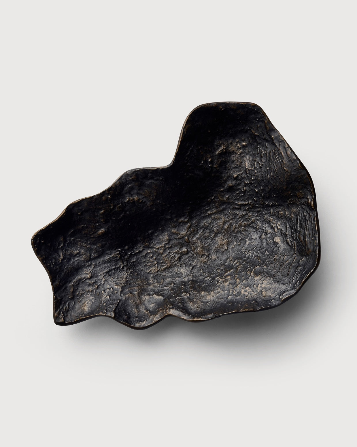 Nala Dish