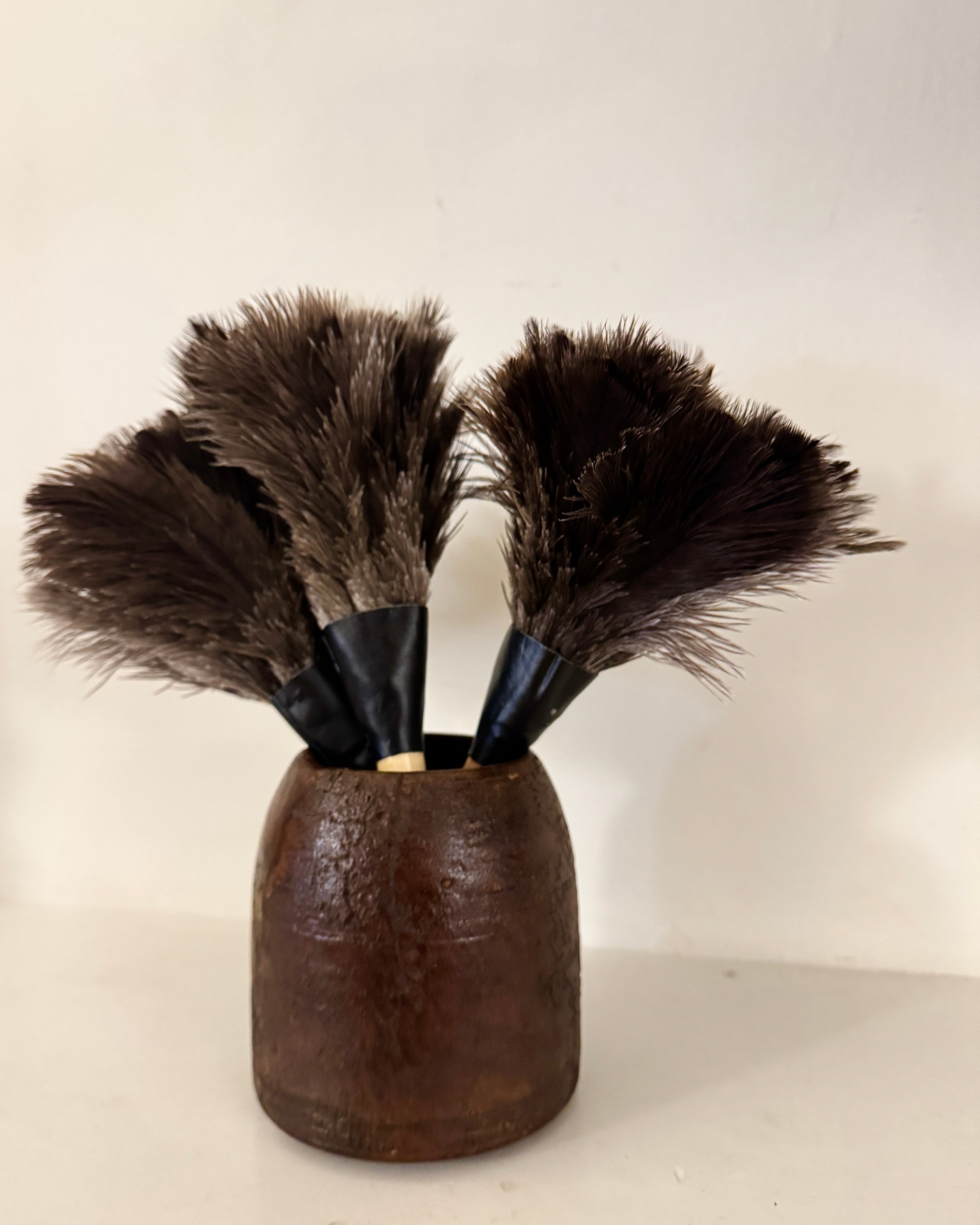 Dark Ostrich Feather Duster 30cm