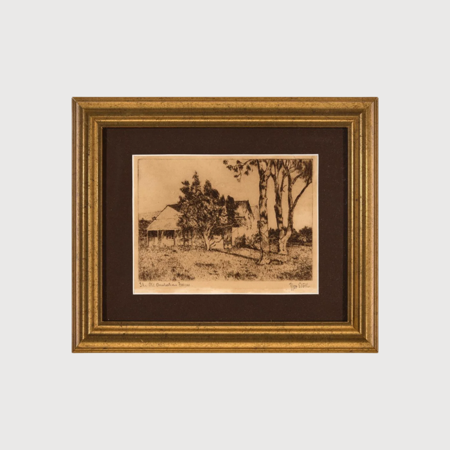 Old Australian Farm etching