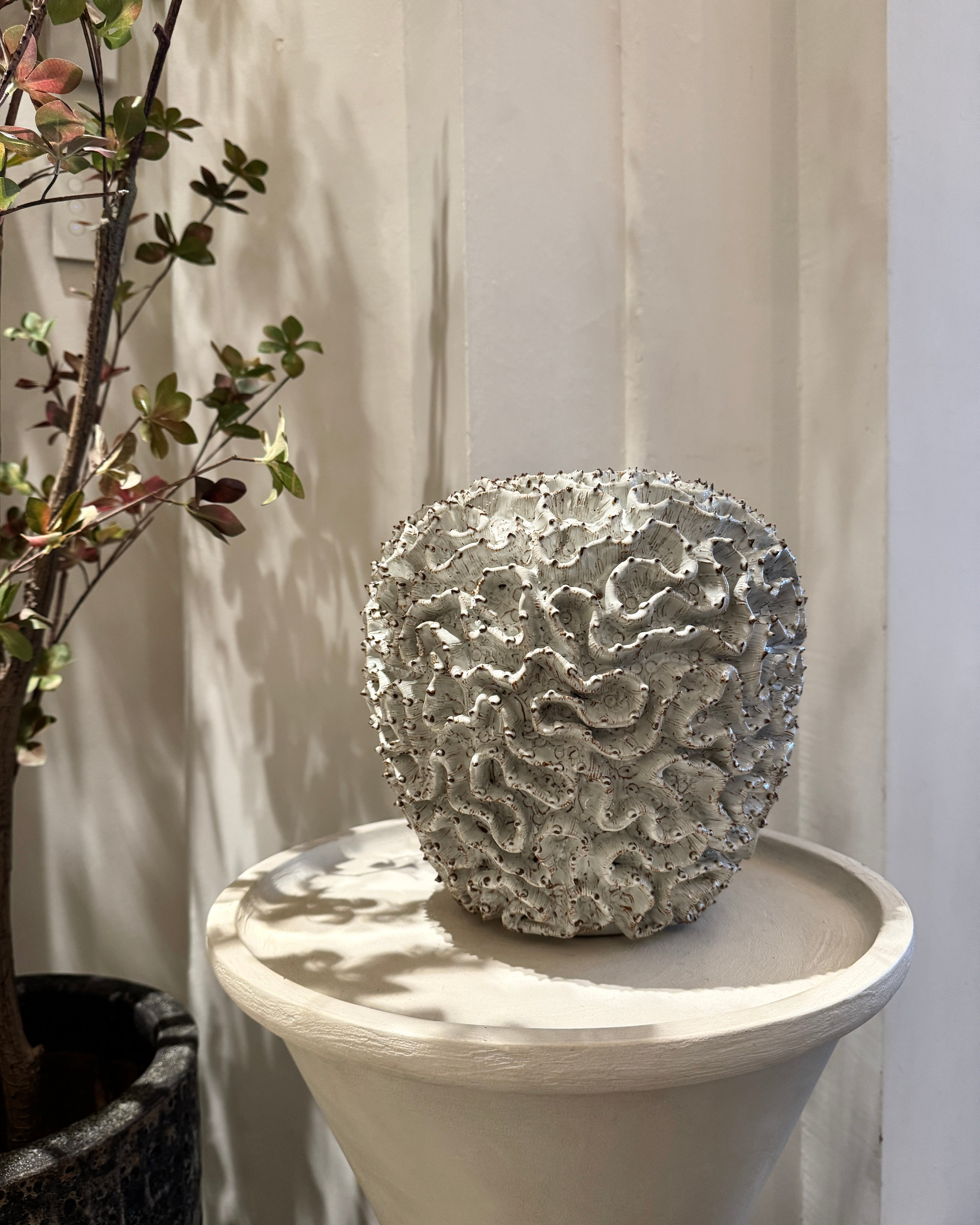 Brain Coral Ceramic Vase White