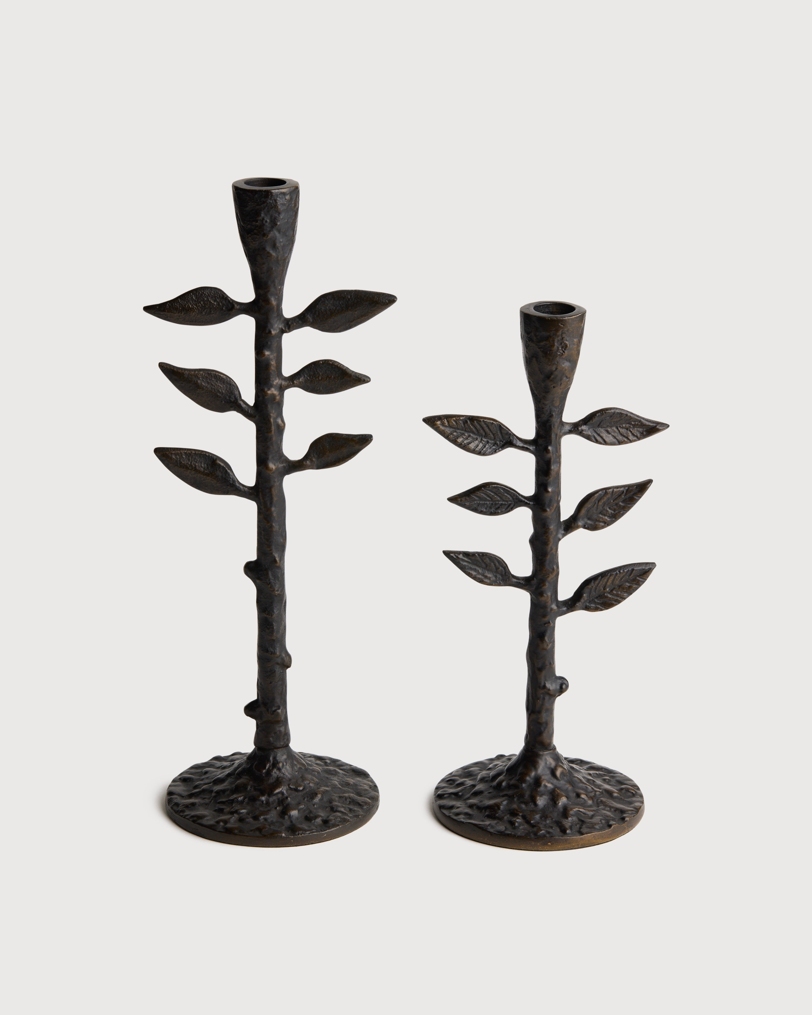 Sapling Candlestick Large