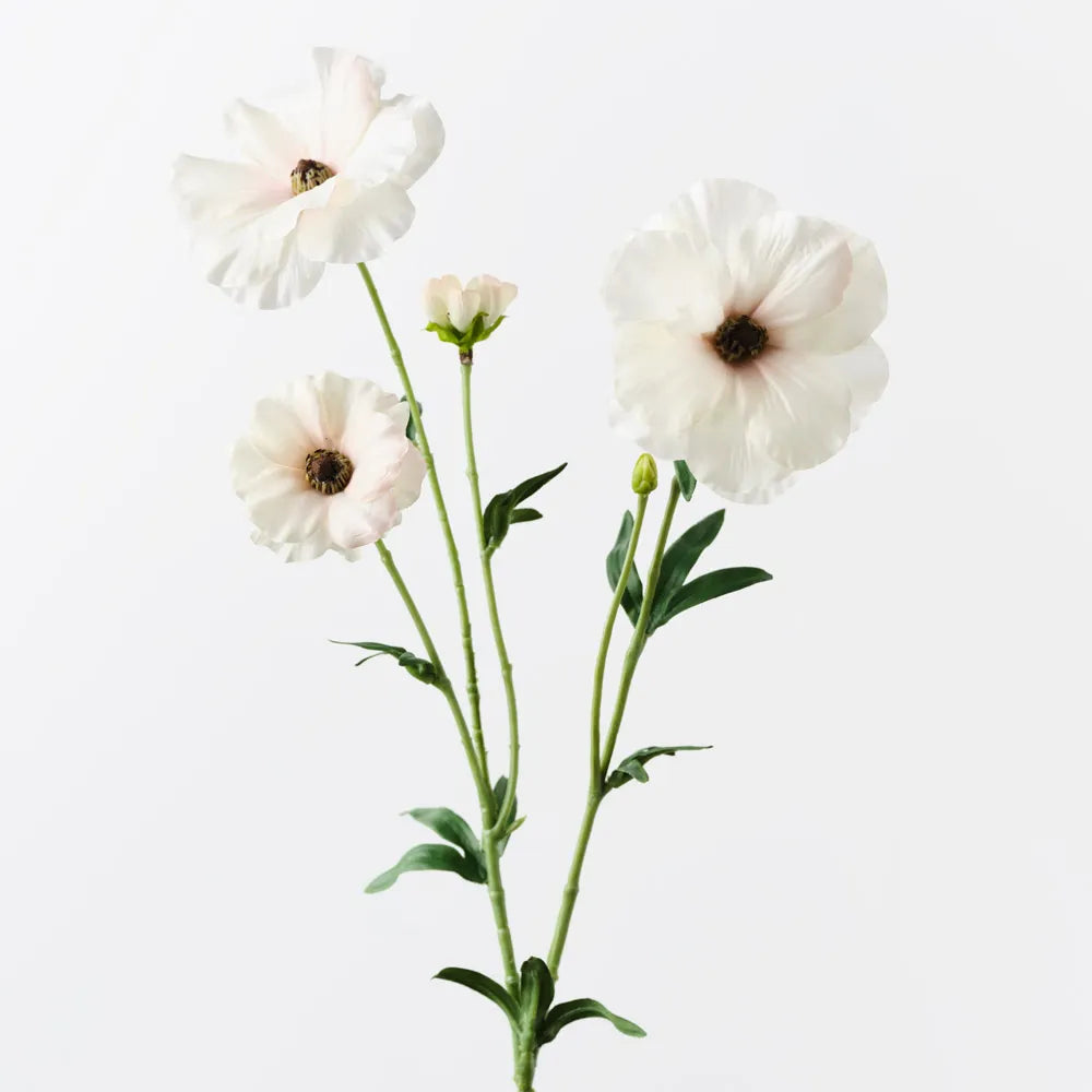 Artificial Ranunculus Japanese Spray in champagne color, 55cm, floral arrangement by Floral Interiors with delicate blooms.