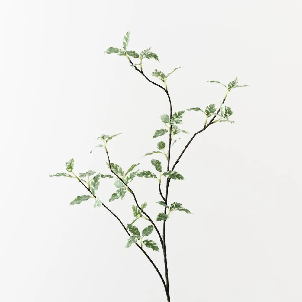 Artificial Pittosporum leaf spray by Floral Interiors, 94cm tall, with lush green foliage for decorative floral arrangements.