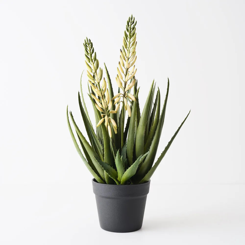 Artificial agave flowering plant from Floral Interiors, showcasing realistic green leaves and vibrant flowering details.
