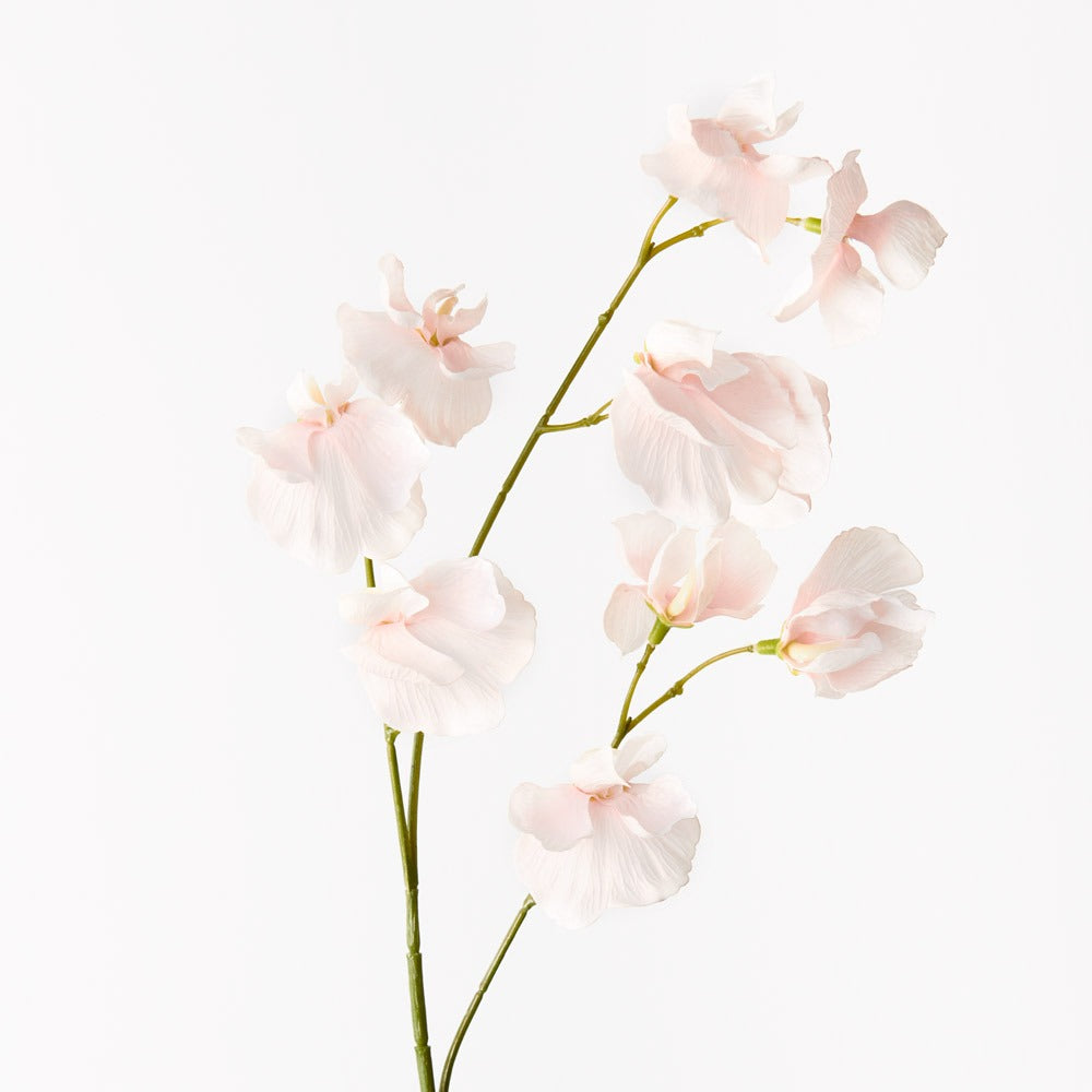 Sweet Pea Spray
