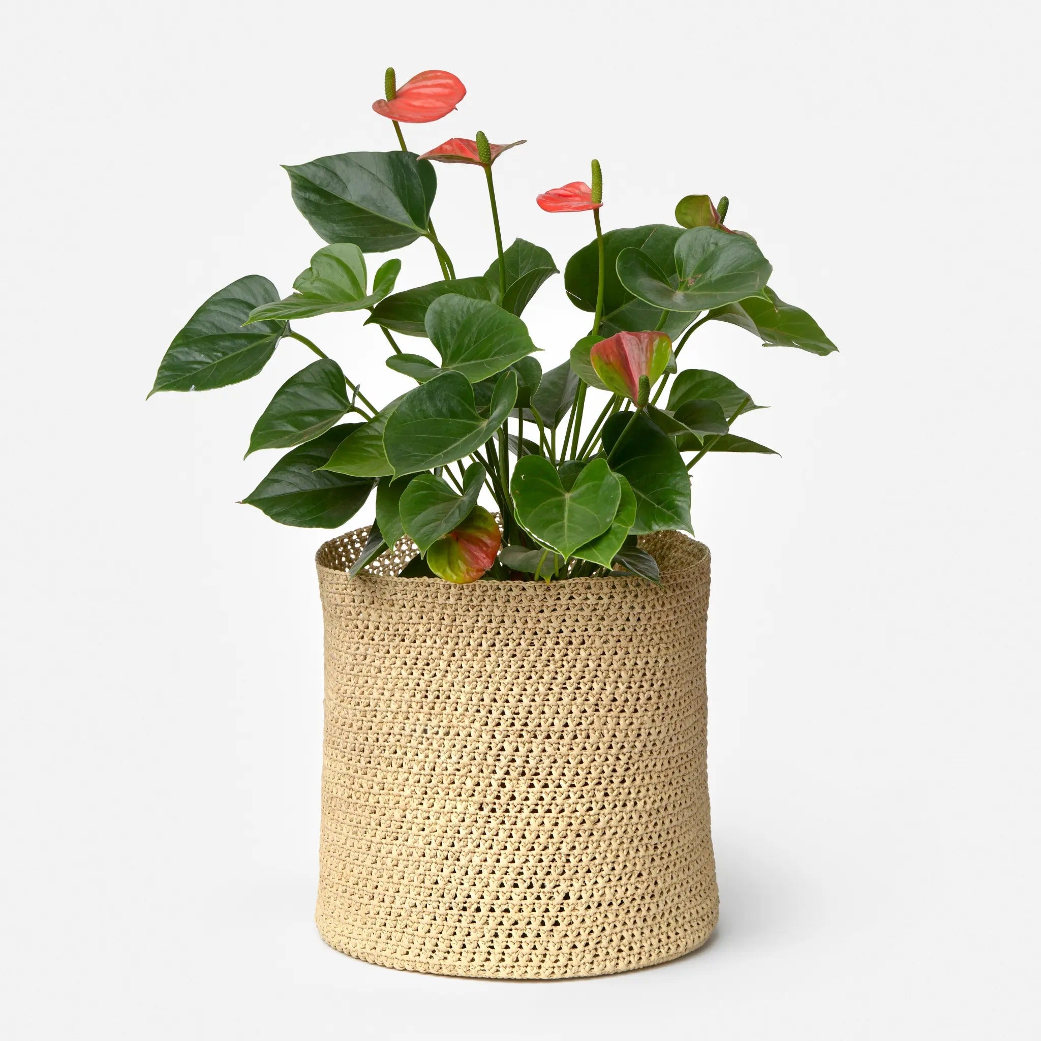 Kiazo Planter, Large