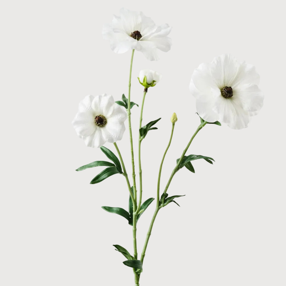 Ranunculus Japanese Spray 55cm