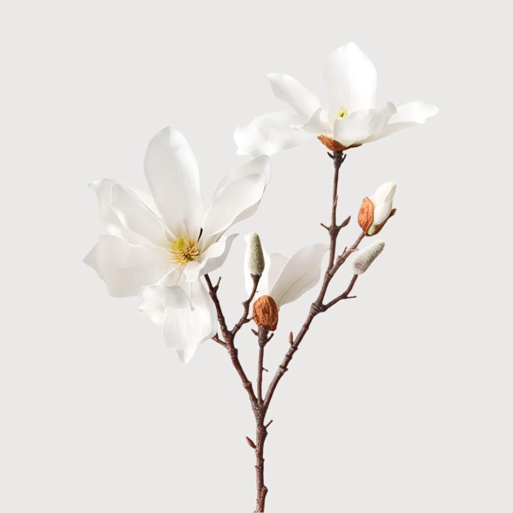Magnolia Japanese Spray 78cm