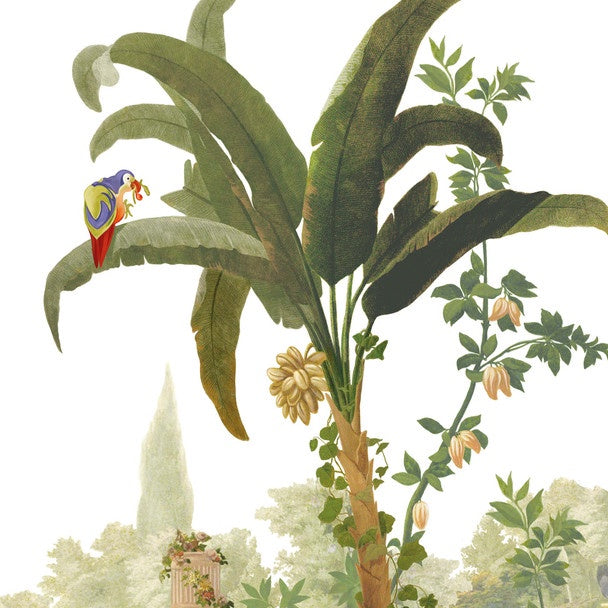 Schonbrunn Parrot Lunch Napkins